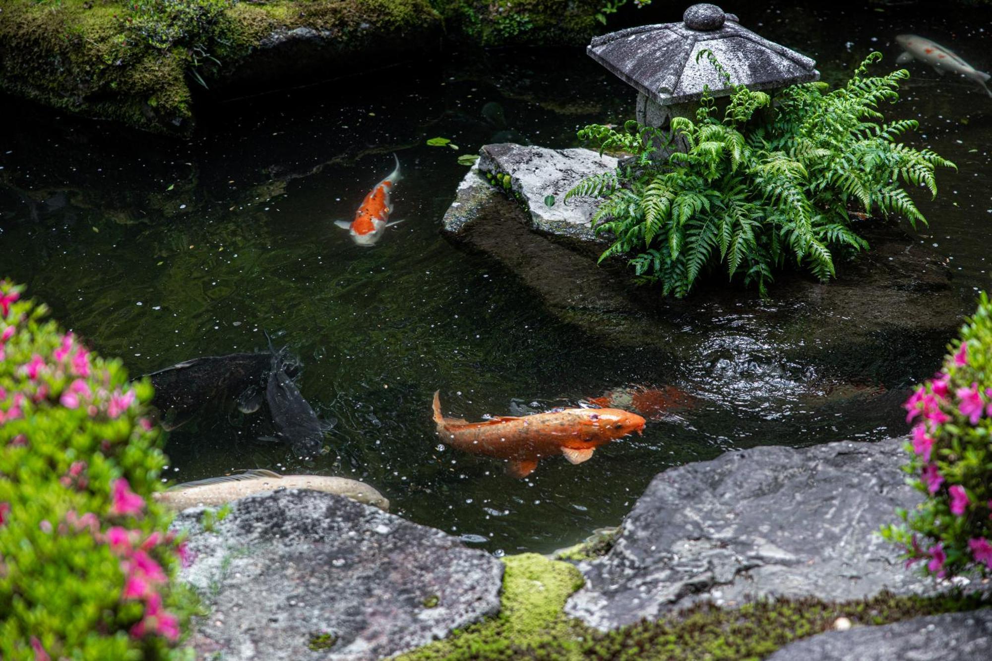 Japanese Seryo Ryokan