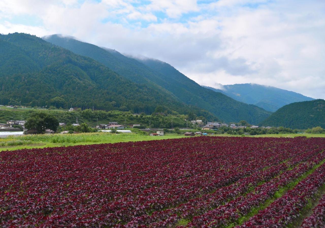 Japanese Seryo 傳統日式旅館 4*