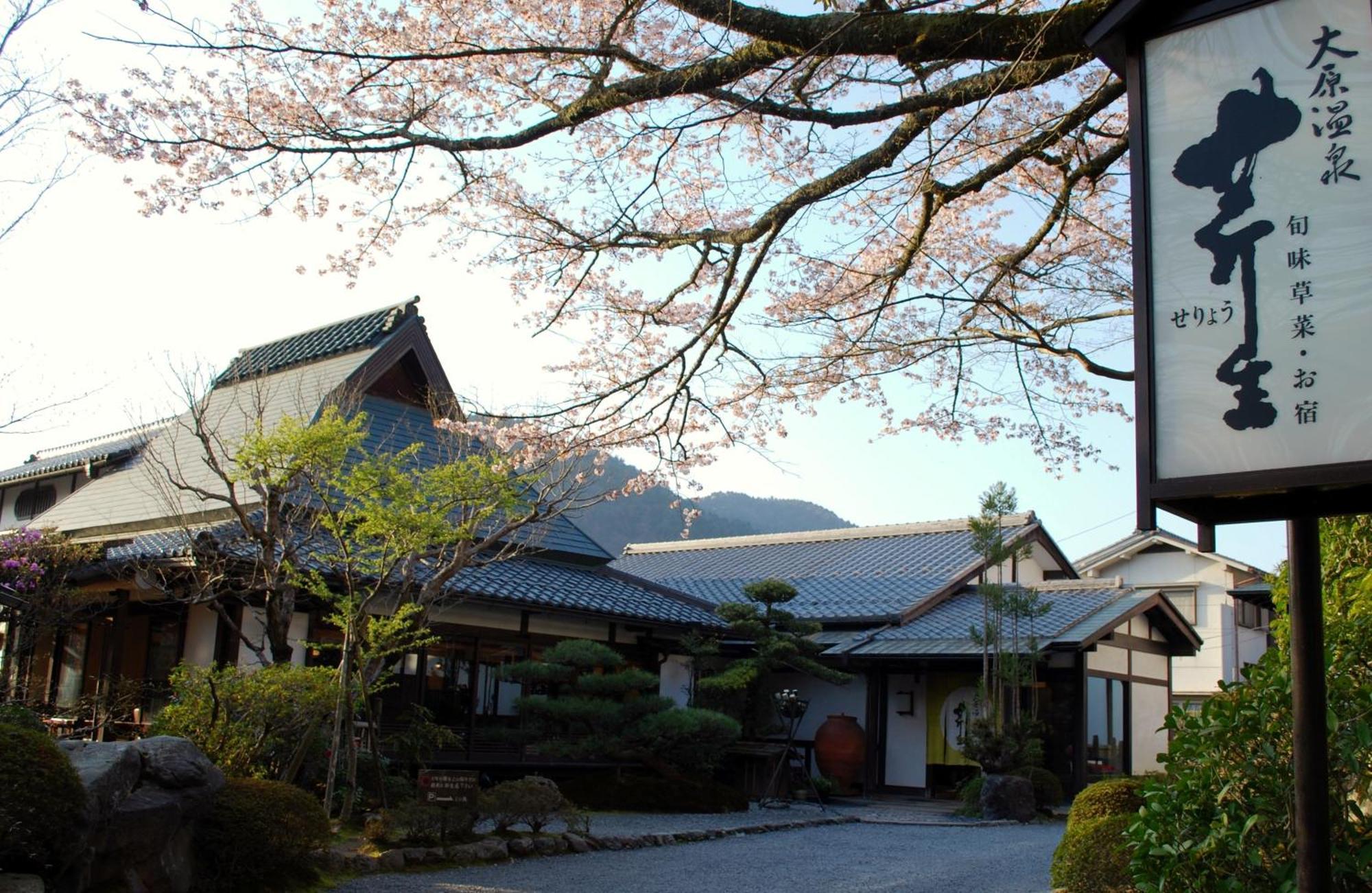 Japanese Seryo เกียวโต